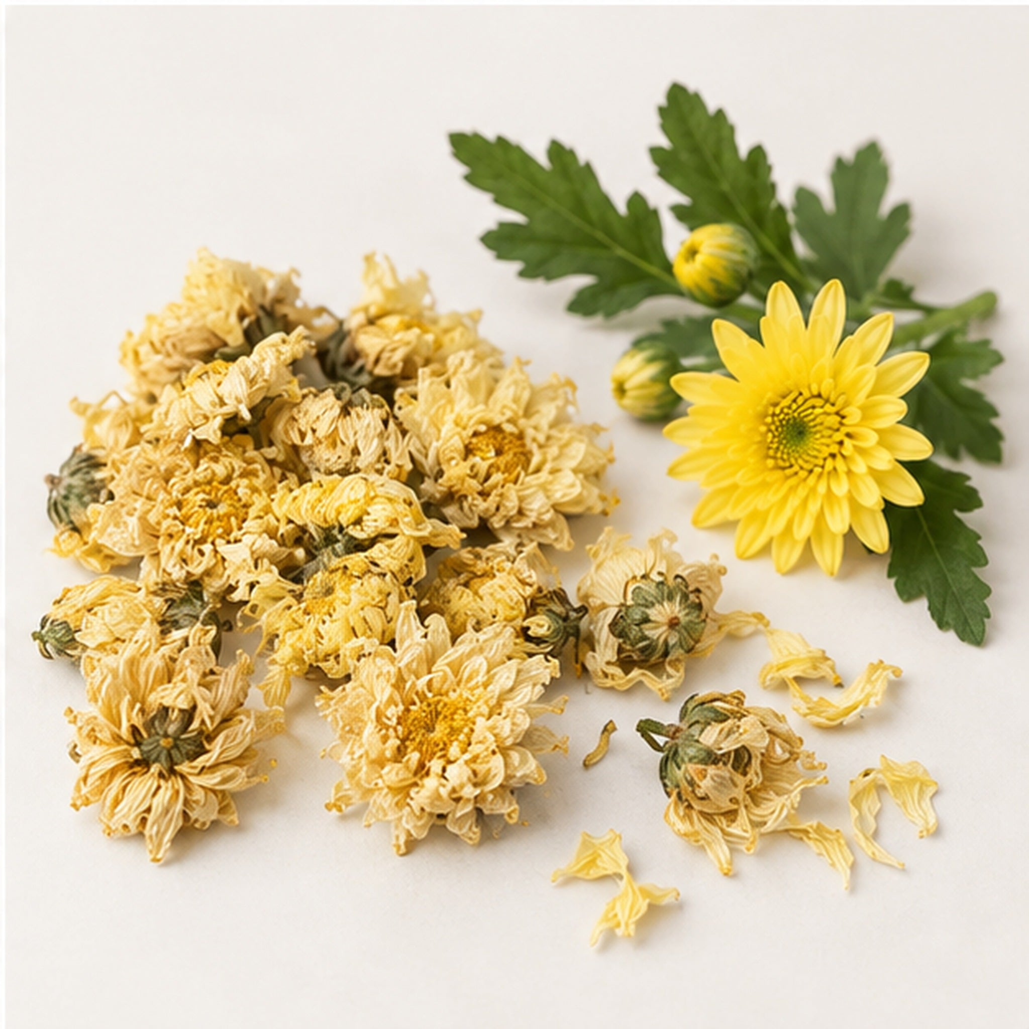 Dried Yellow Chrysanthemum 100g. image 4