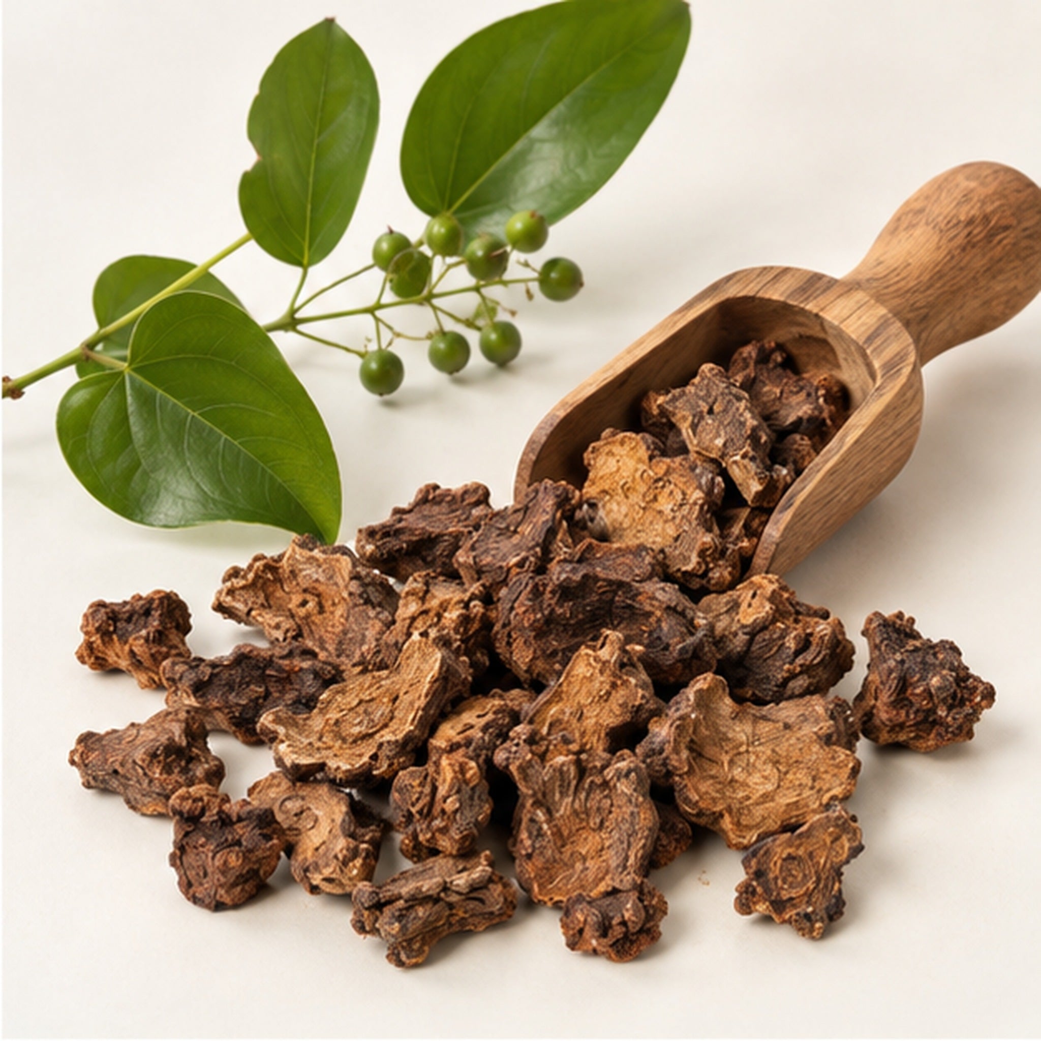 Dried Smilax Corbularia Kunth 100g. image 2