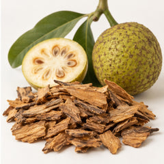 Dried Artocarpus Lakoocha Wood 100g | Mahad Monkey Jack image 4