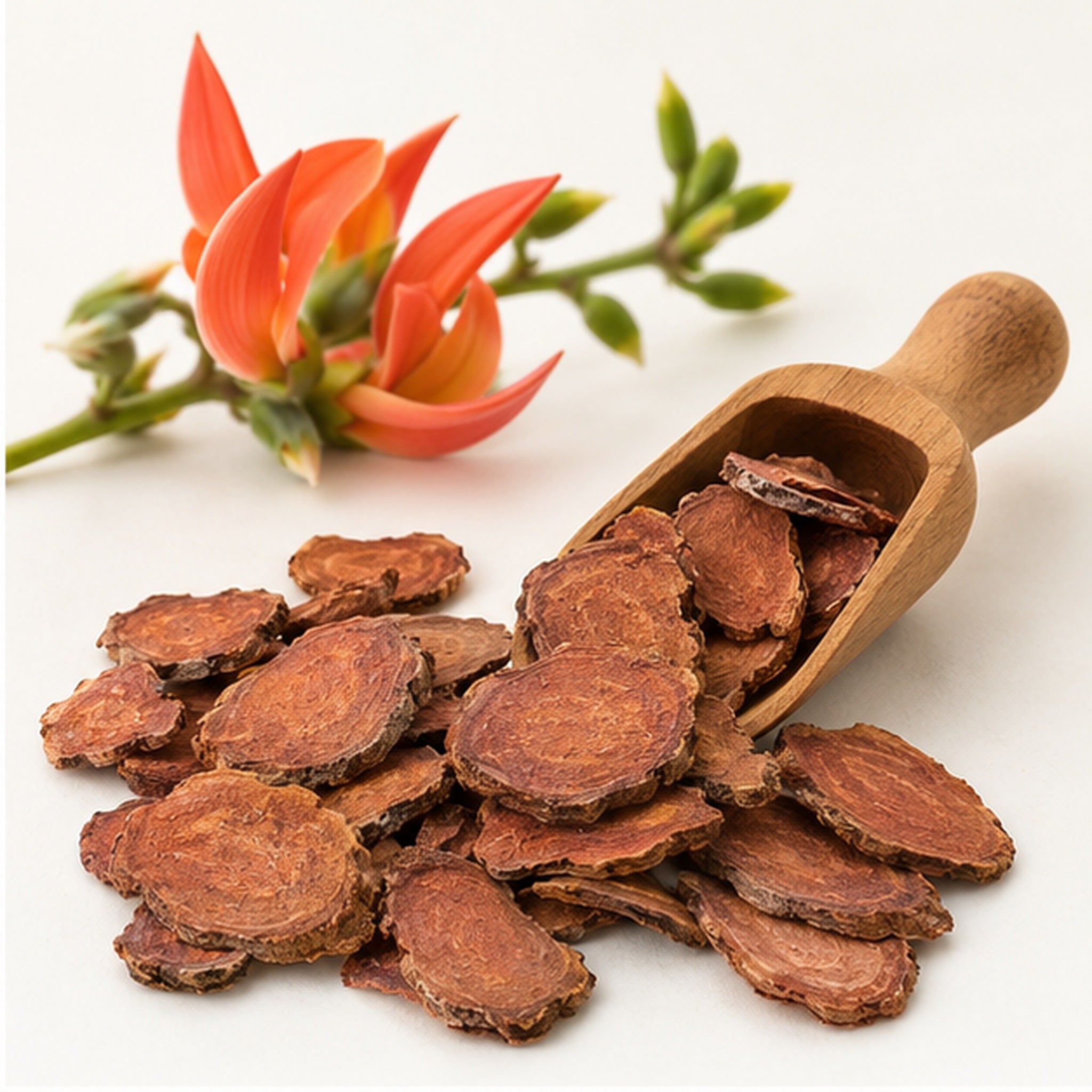 Dried Butea superba 100g. Red Kwao Krua image 2