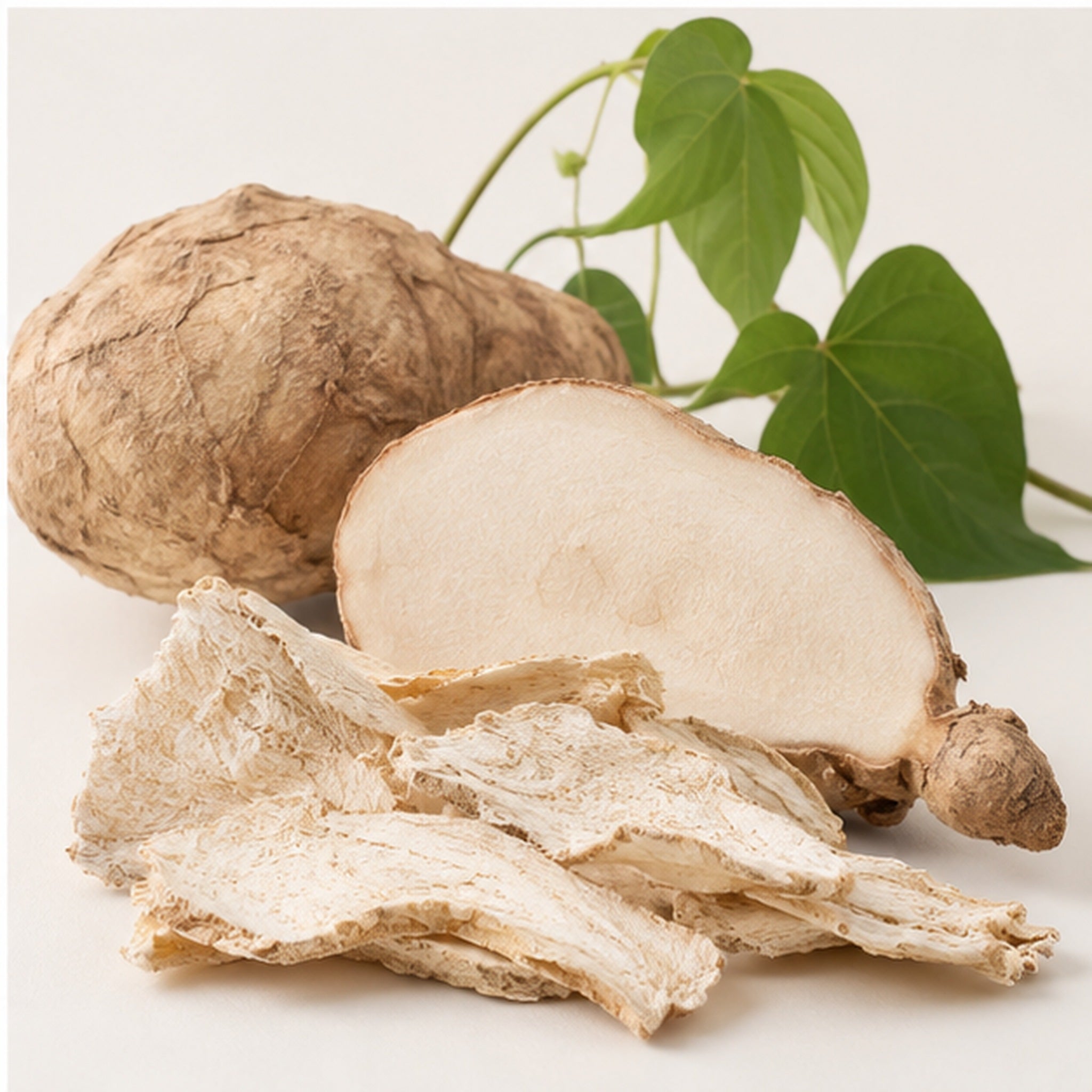 Dried Pueraria Mirifica 100g | White Kwao Krua Root image 4