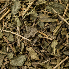 Dried Green Chiretta 100g. Andrographis Paniculata image 3