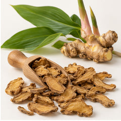Dried Zingiber Cassumunar 100g. Phlai Bangle or Cassumunar Ginger image 2