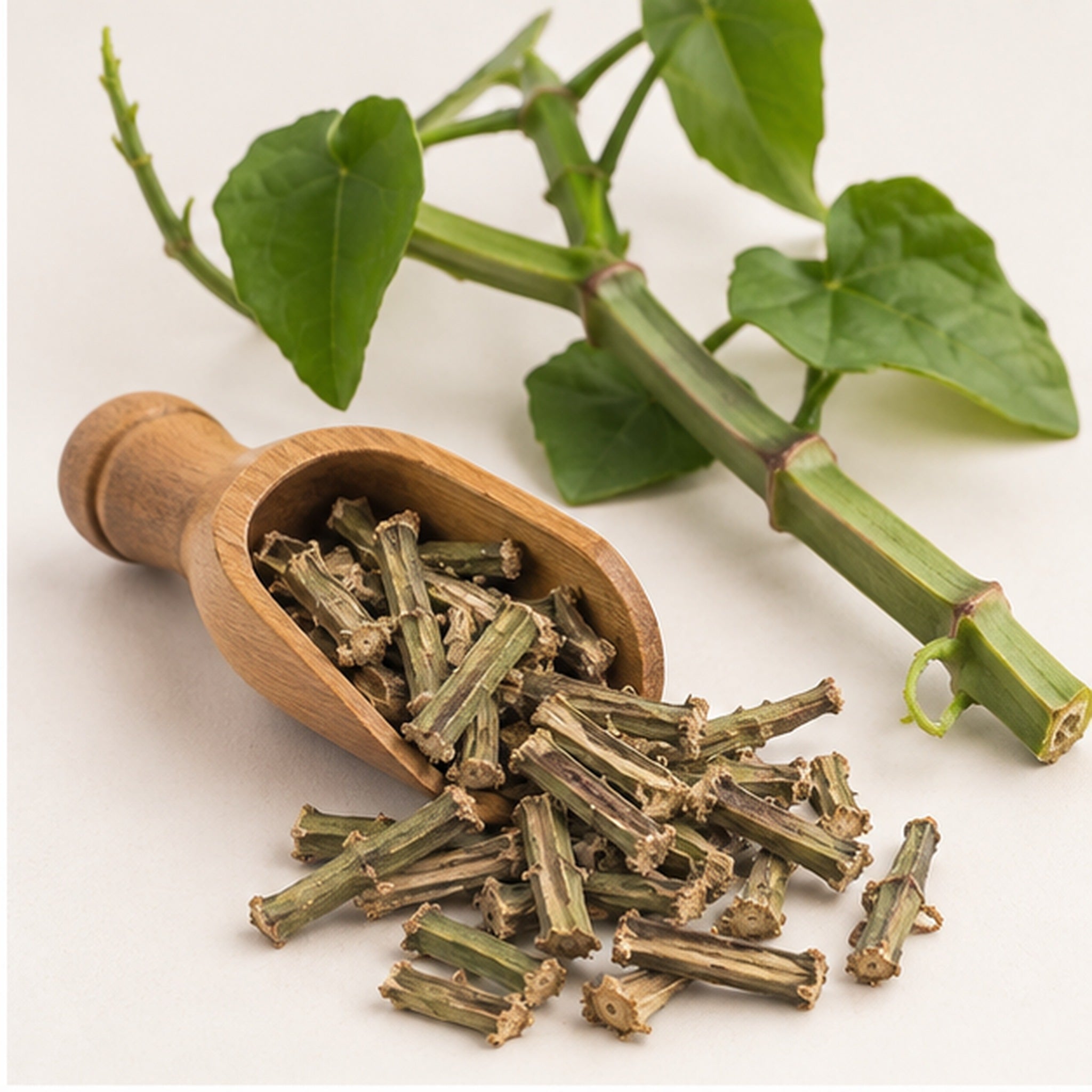 Dried Cissus Quadrangularis Veld Grape Adamant Creeper 100g. image 2