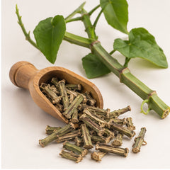 Dried Cissus Quadrangularis Veld Grape Adamant Creeper 100g. image 2