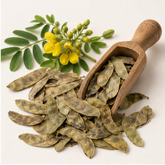 Dried Indian Senna Pods 100g. Senna alexandrina or Cassia angustifolia image 2