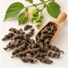 Dried East Indian Screw Tree 100g. image 2