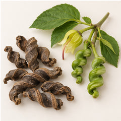 Dried East Indian Screw Tree 100g. image 4