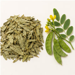 Dried Senna Alexandrina Leaves 100g | Indian Senna image 4