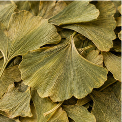 Dried Ginkgo Leaves 100g. Ginkgo Biloba image 3