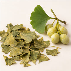Dried Ginkgo Leaves 100g. Ginkgo Biloba image 4