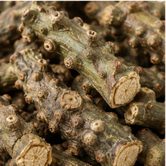 Dried Tinospora cordifolia 100g image 3