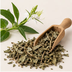 Dried Rhinacanthus Nasutus 100g | Snake Jasmine image 2