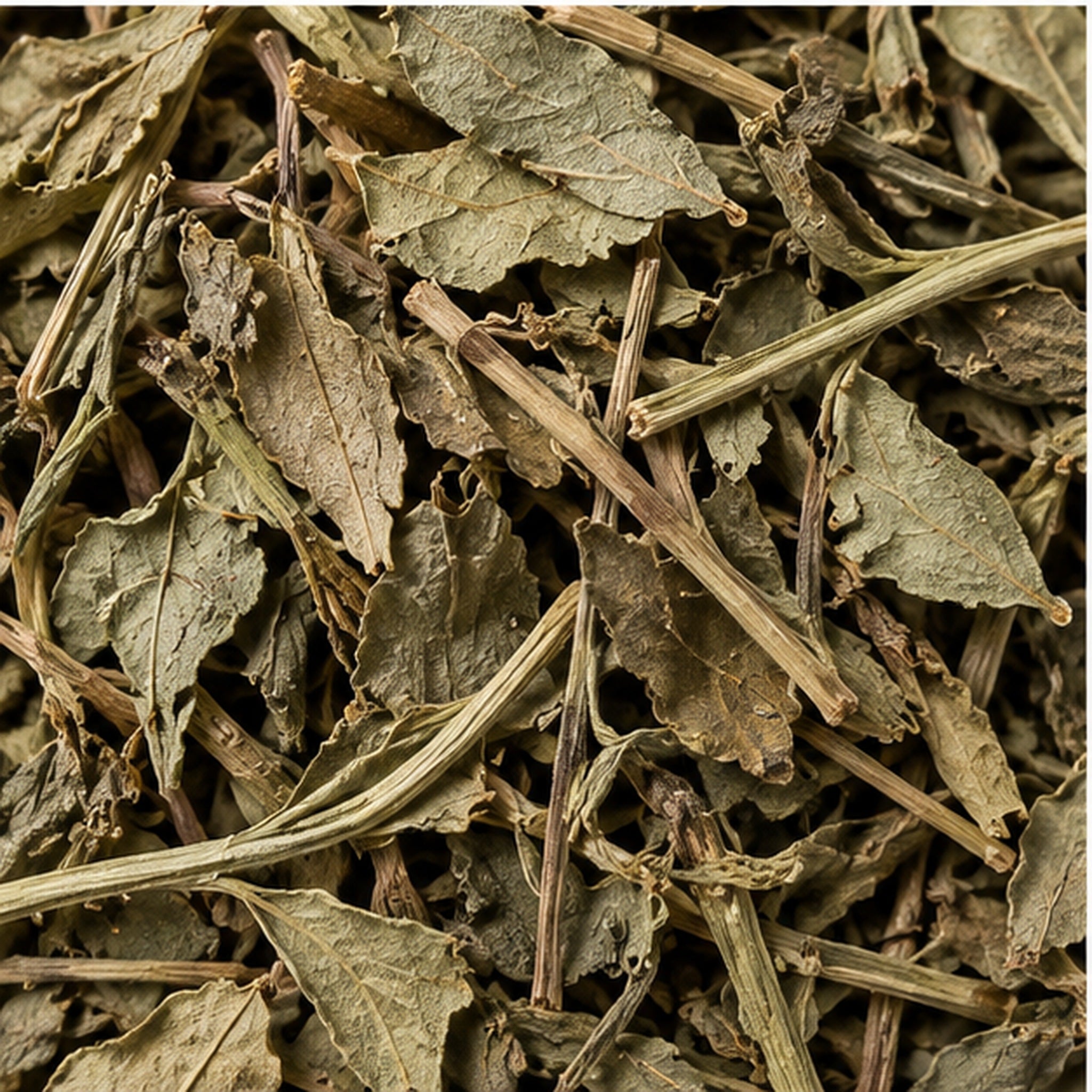 Dried Rhinacanthus Nasutus 100g | Snake Jasmine image 3