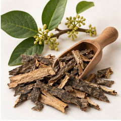 Dried Ventilago Denticulata 100g. Ventilago denticulata Willd Bark image 2