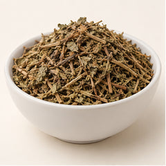 Dried Phyllanthus Niruri 100g | Chanca Piedra product image