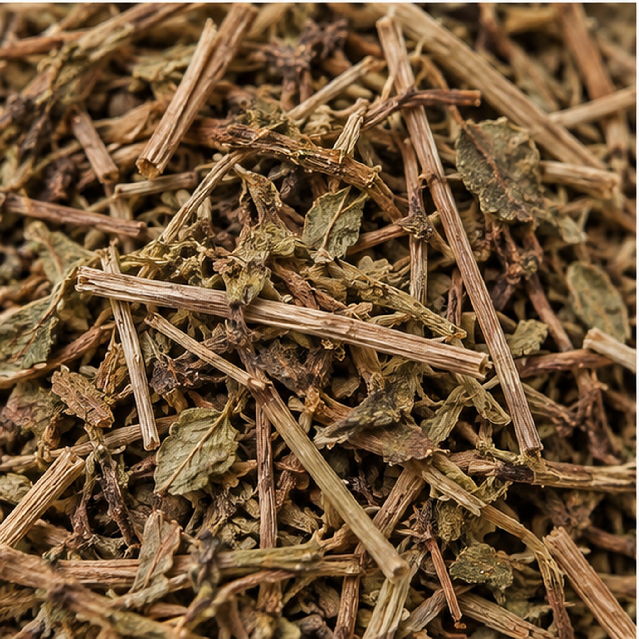 Dried Phyllanthus Niruri 100g | Chanca Piedra image 3