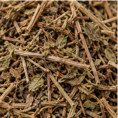 Dried Phyllanthus Niruri 100g | Chanca Piedra image 3