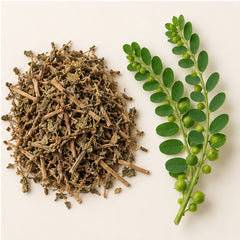 Dried Phyllanthus Niruri 100g | Chanca Piedra image 4