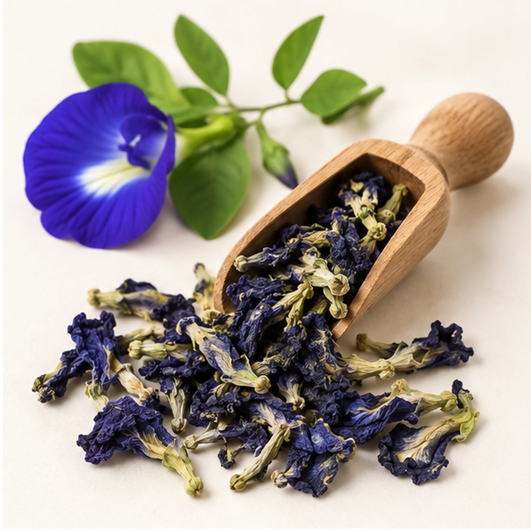 Dried Thai Blue Butterfly Pea 100g. image 2