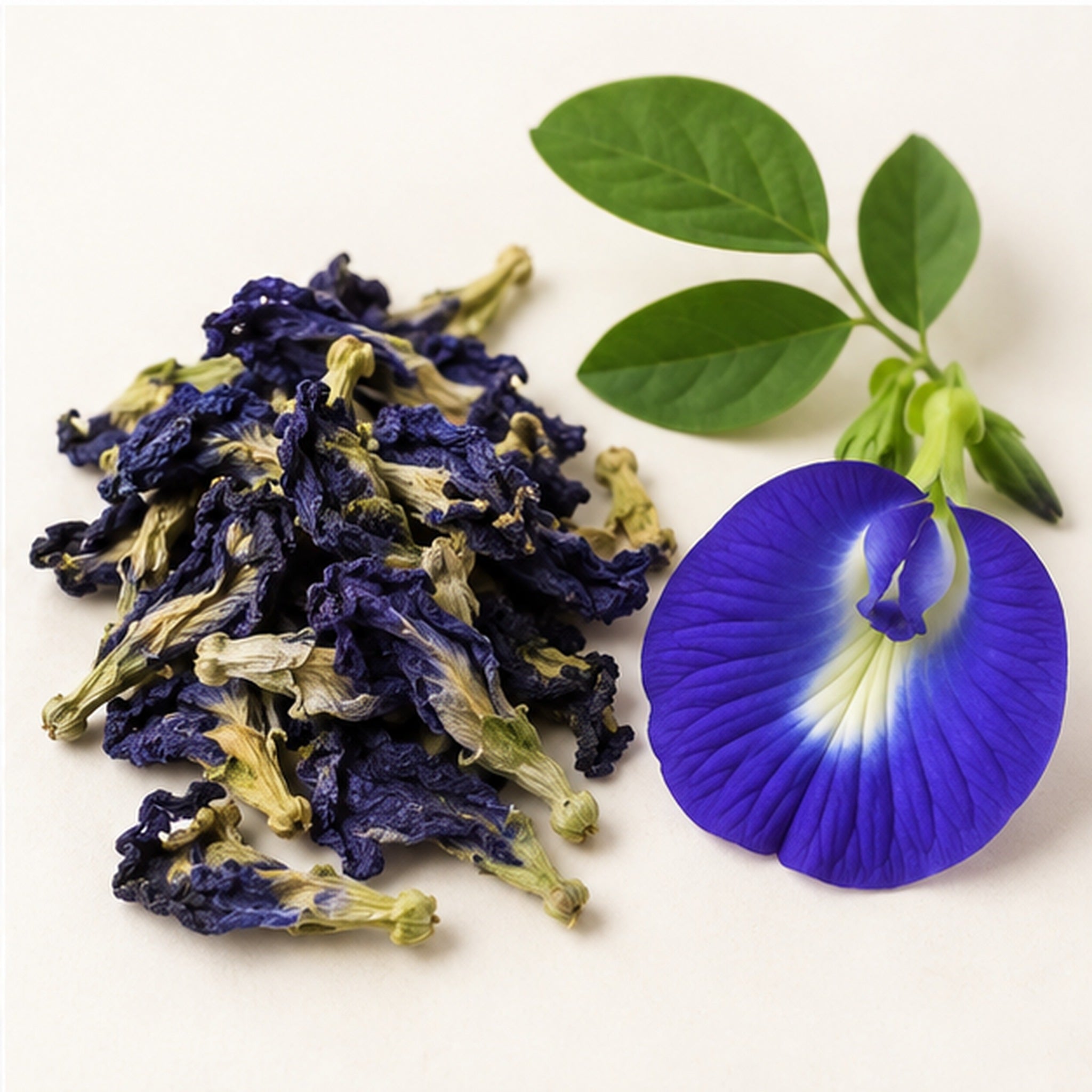 Dried Thai Blue Butterfly Pea 100g. image 4