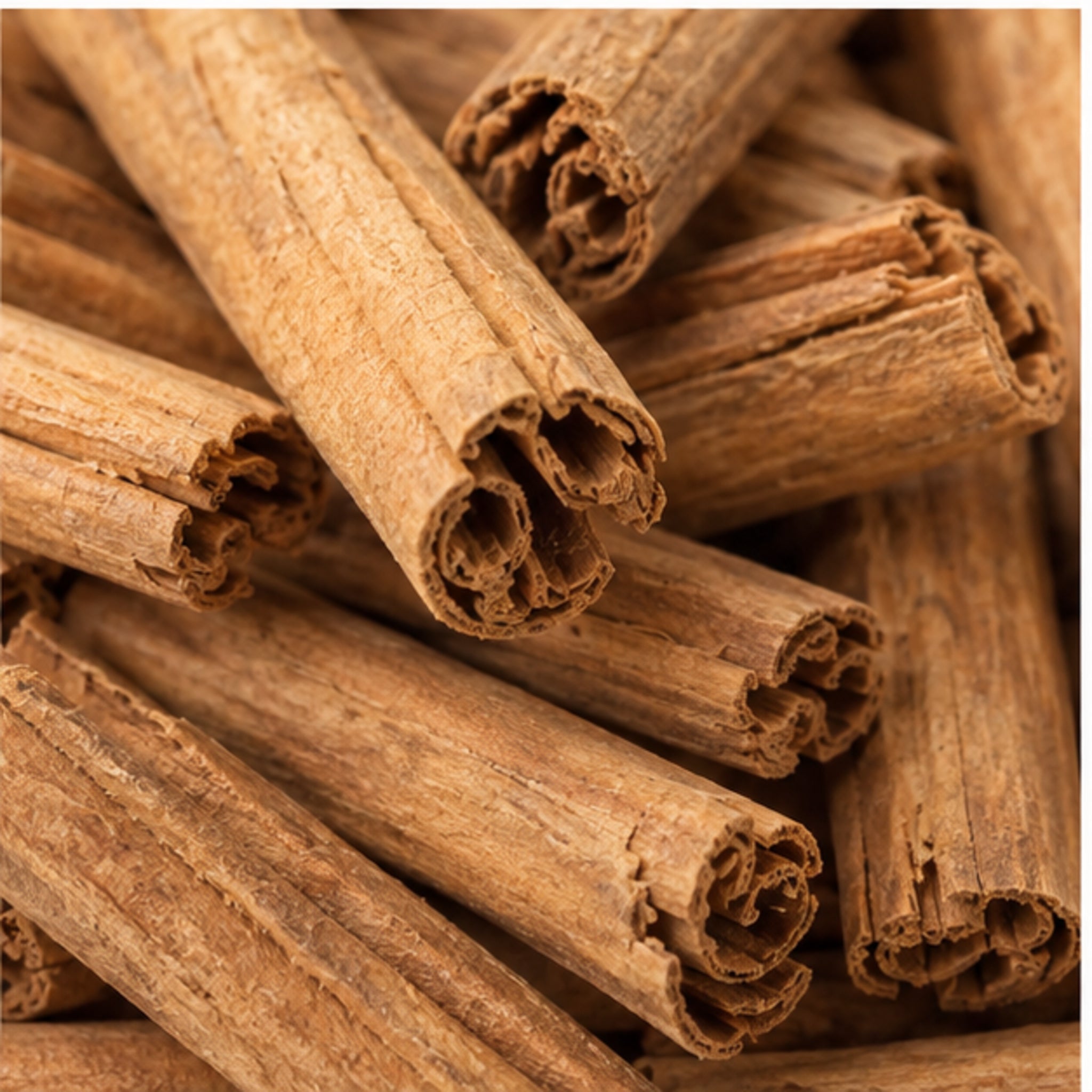 Dried Ceylon Cinnamon 100g | True Cinnamon product image