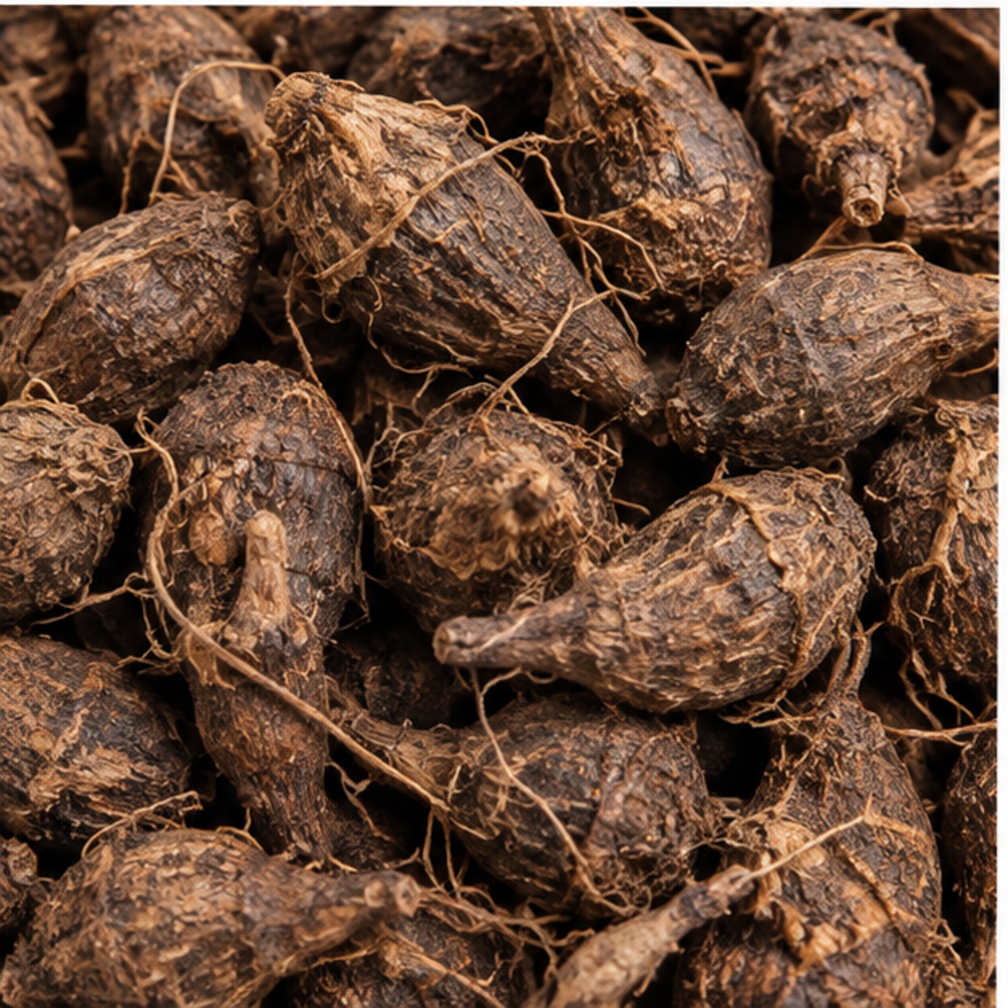 Dried Nut Grass 100g. Purple Nut Sedge or Nagarmotha product image