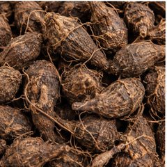 Dried Nut Grass 100g. Purple Nut Sedge or Nagarmotha product image