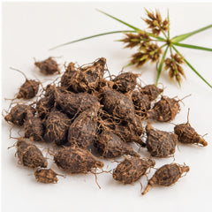 Dried Nut Grass 100g. Purple Nut Sedge or Nagarmotha product image