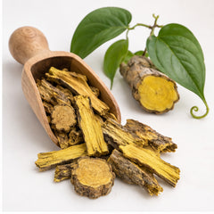 Dried Coscinium Fenestratum 100g. Venivel Tree Turmeric or Calumba Wood product image