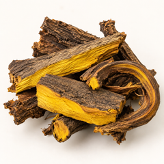 Dried Coscinium fenestratum 100g tree turmeric calumba wood product detail image