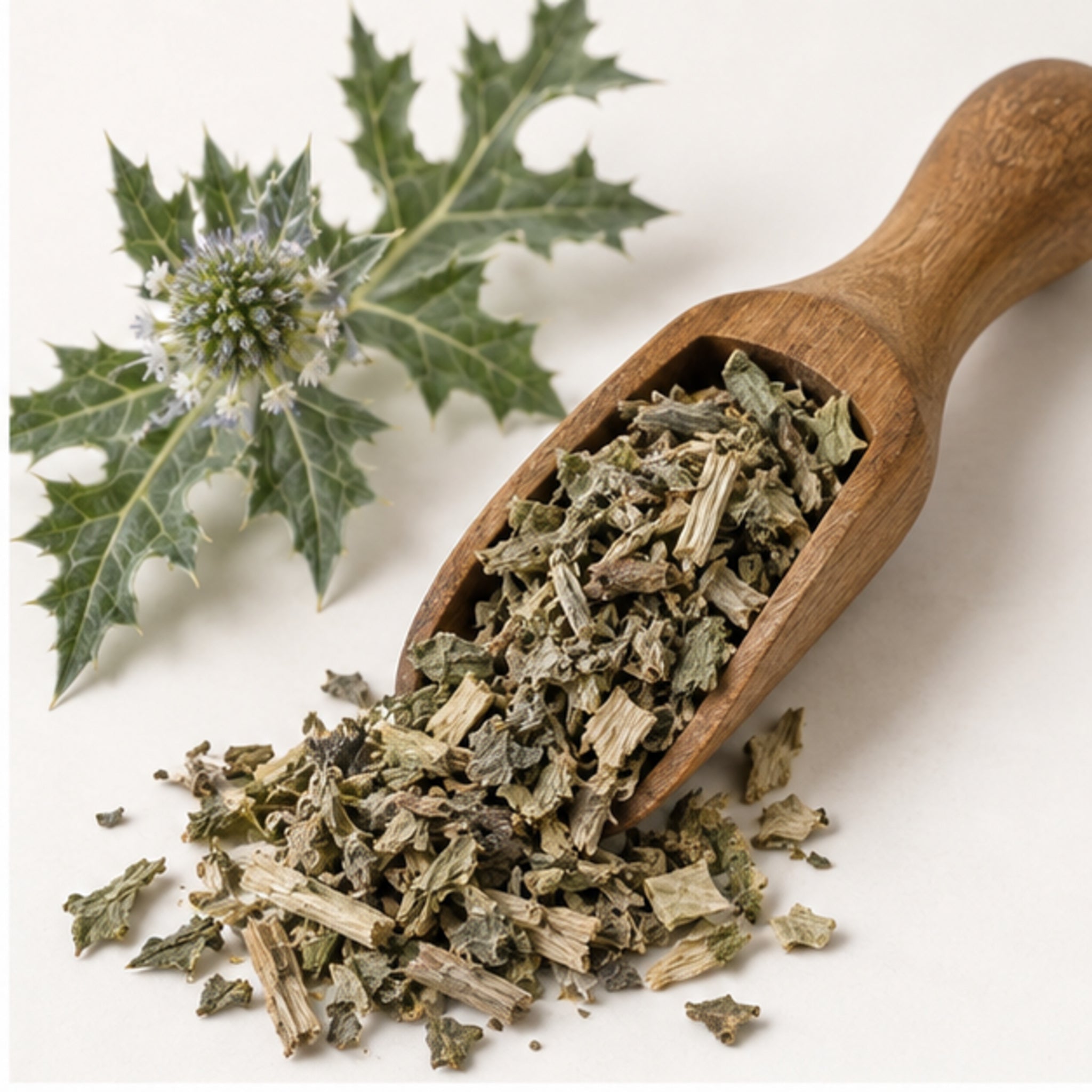Dried Acanthus Ebracteatus 100g. Sea Holly product image