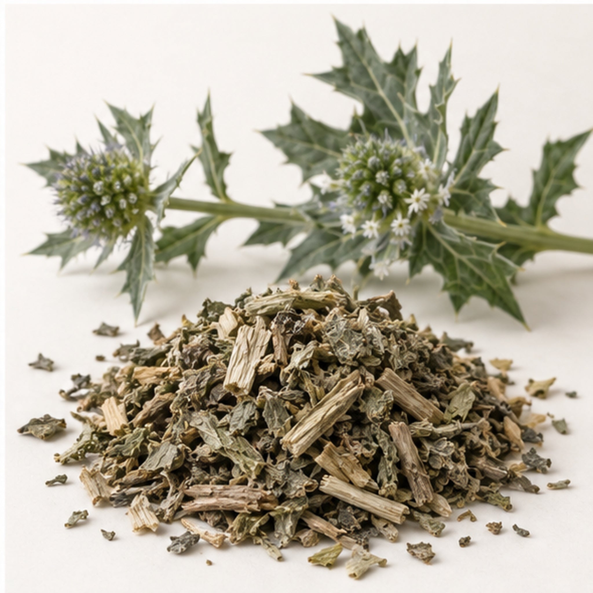 Dried Acanthus Ebracteatus 100g. Sea Holly product image