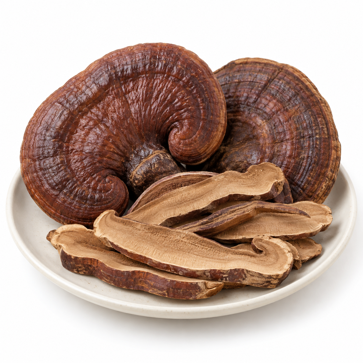 Dried Lingzhi mushroom slices, studio product image