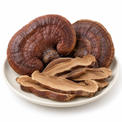 Dried Lingzhi mushroom slices, studio product image
