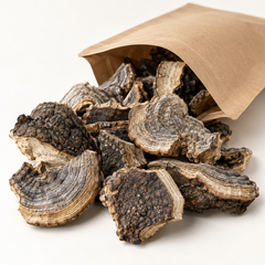 Dried Fomes rimosus fungal material with plain kraft pouch, product image