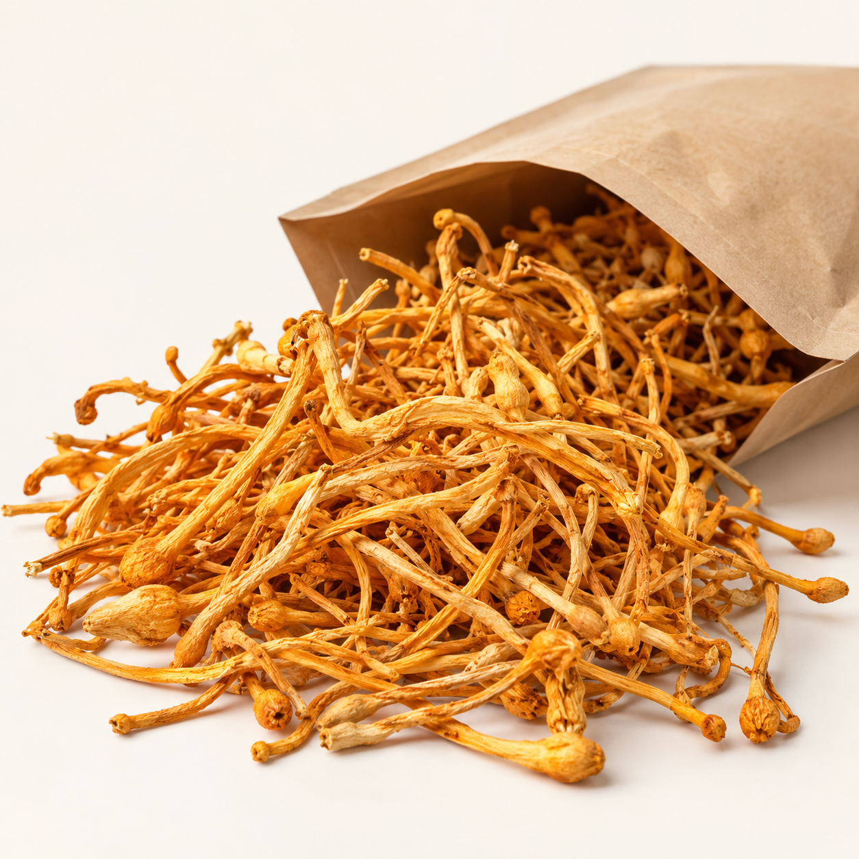 Dried Cordyceps militaris Golden Cordyceps with plain kraft pouch, product image