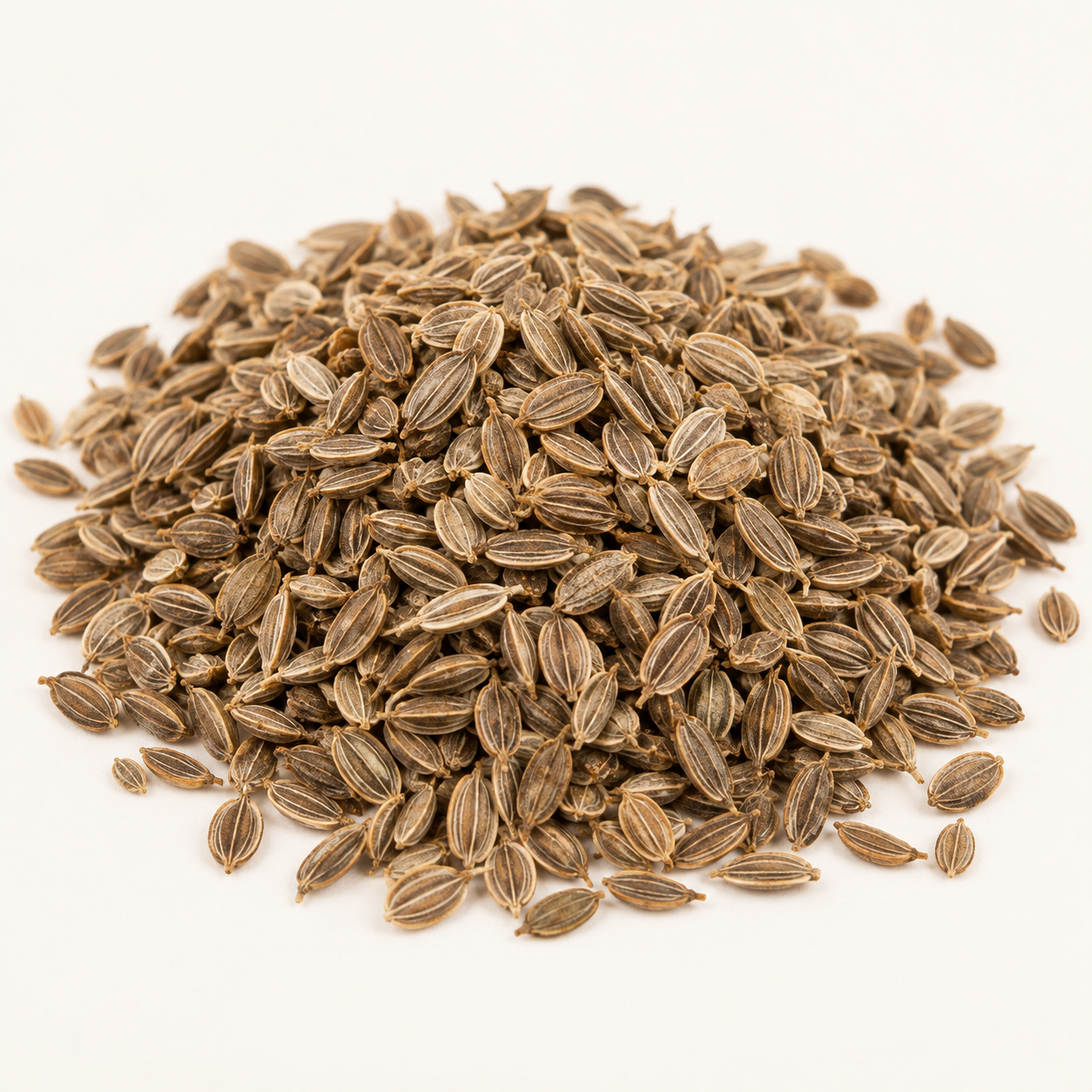 Whole dried dill seeds, studio product image