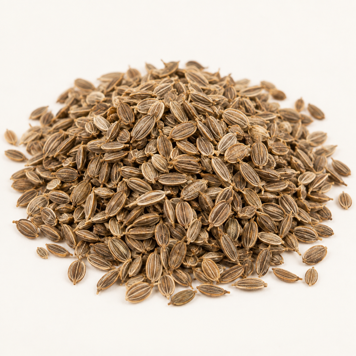 Whole dried dill seeds, studio product image