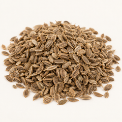 Whole dried dill seeds, studio product image