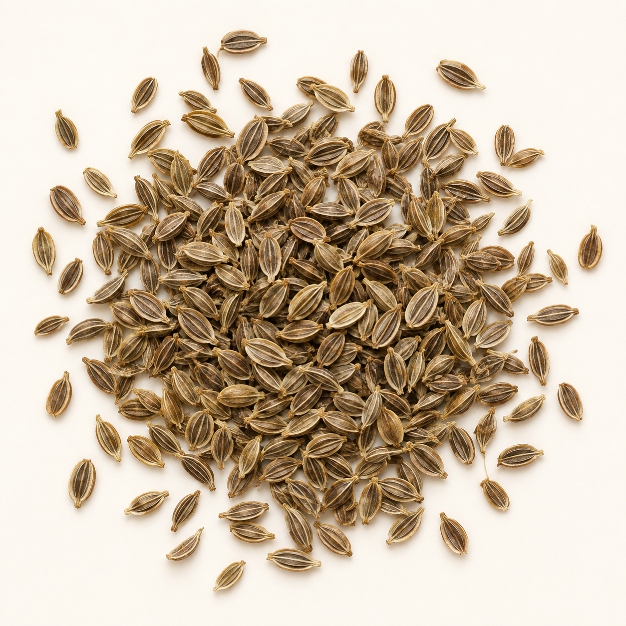 Whole dried dill seeds, top view product image