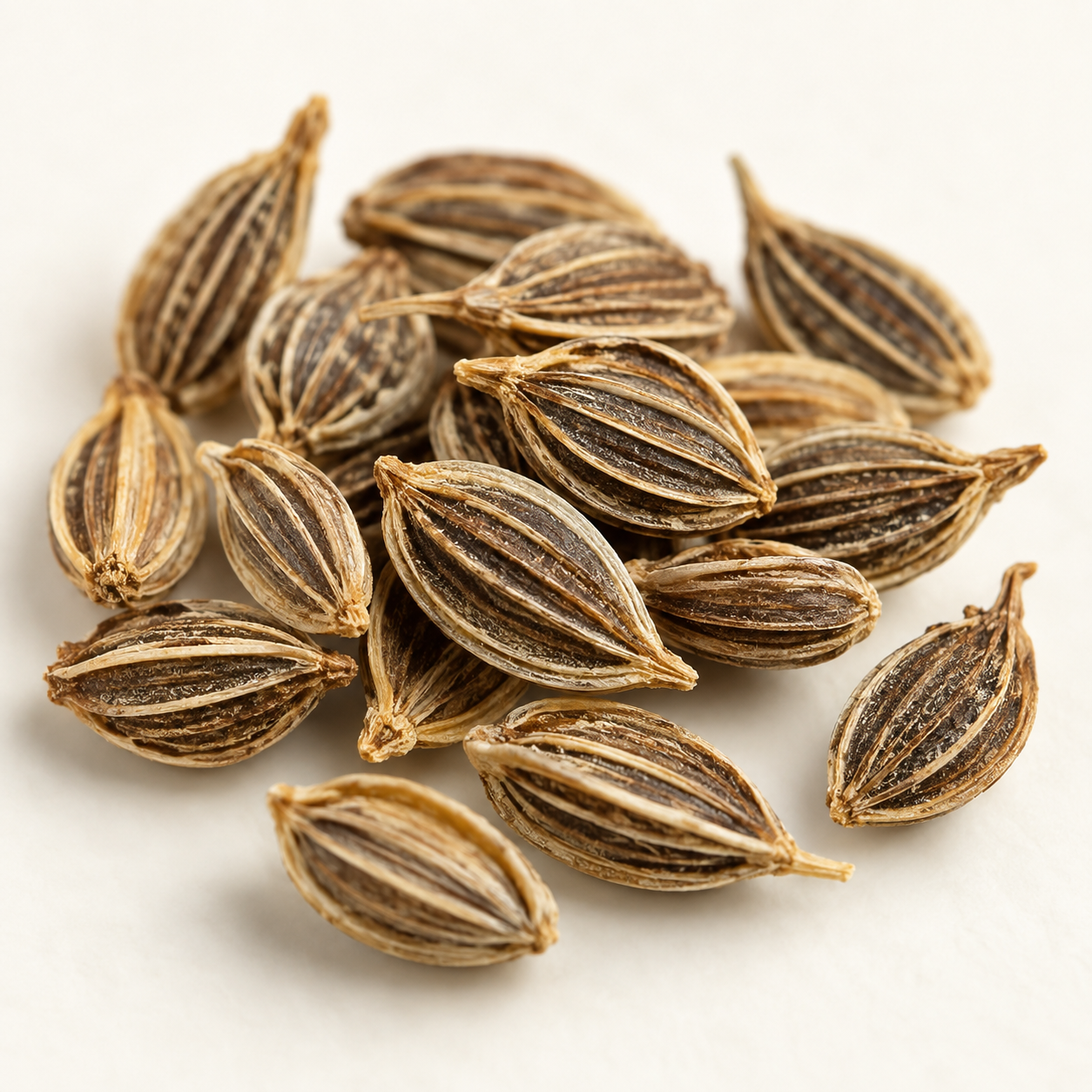 Whole dried dill seeds, detail product image