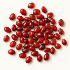 Adenanthera pavonina seeds, top-down product image