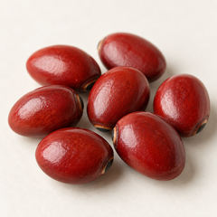 Adenanthera pavonina seeds, macro detail product image