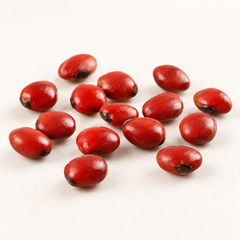 Adenanthera pavonina seeds, side-angle product image