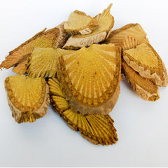 Dried Coscinium Fenestratum 100g. Venivel Tree Turmeric or Calumba Wood