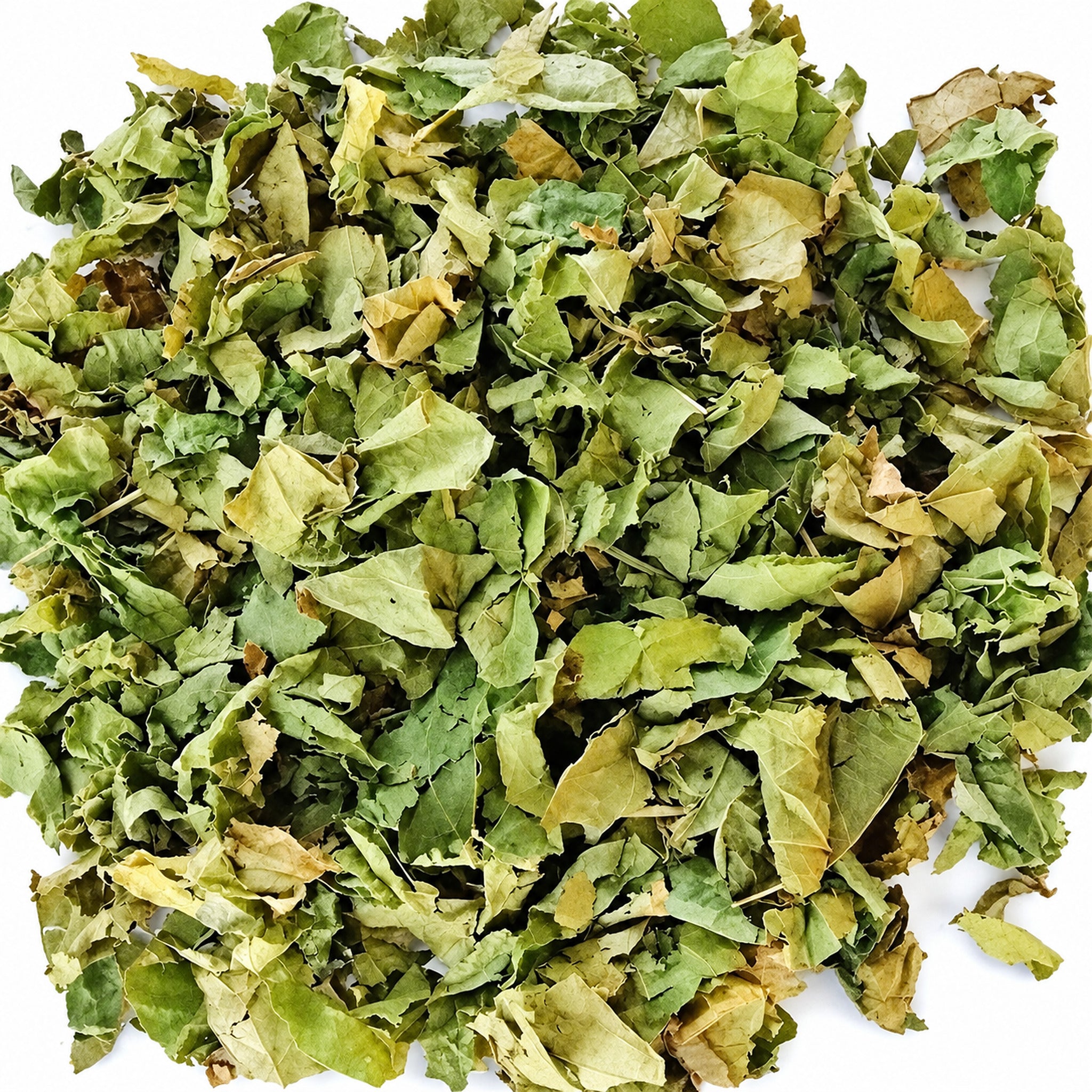 Dried Sacha Inchi leaves on a white background