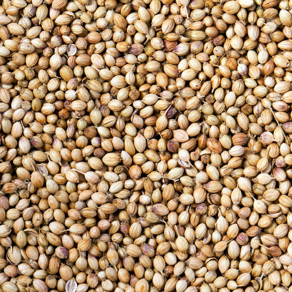 Dried Coriander 100g. Coriander Seeds