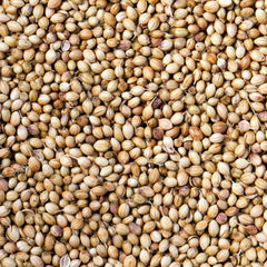 Dried Coriander 100g. Coriander Seeds