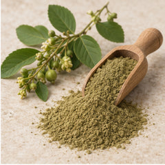 Grewia paniculata powder with wooden scoop and botanical material